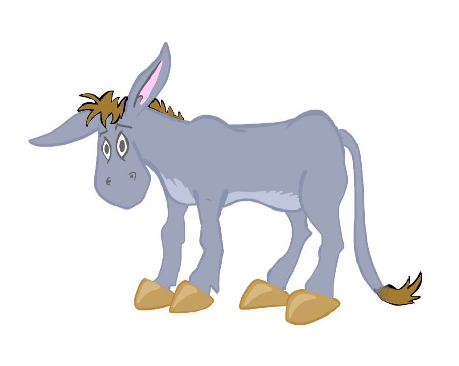 confused donkey