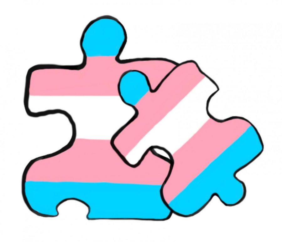 Non-Binary In Social Binary: The Relationship Between Autism and Transness