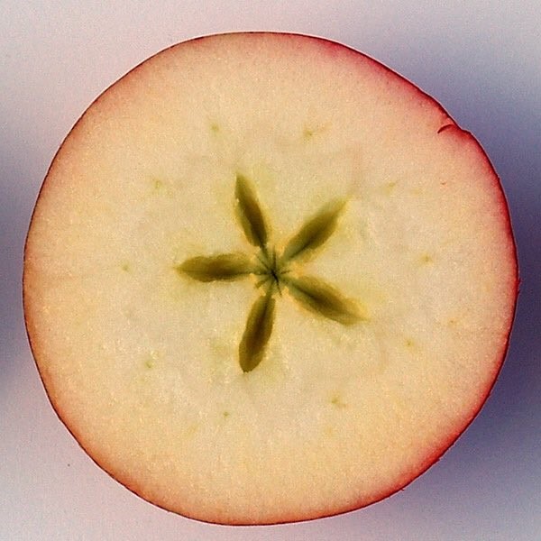 Vertical Apple Eating: Saving Yourself, and the World